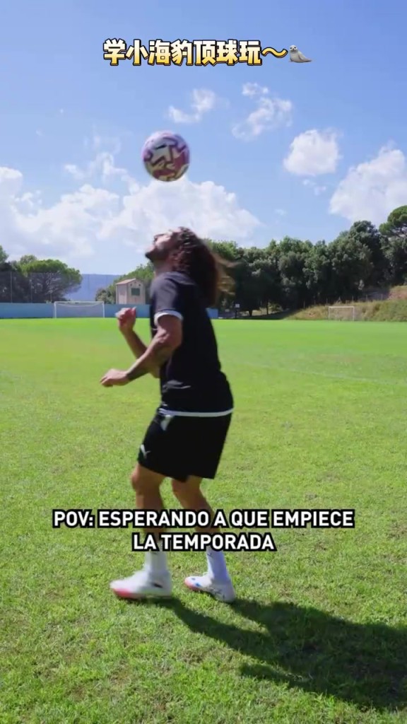 赛博宠物！一个人的库库雷利亚在干什么？