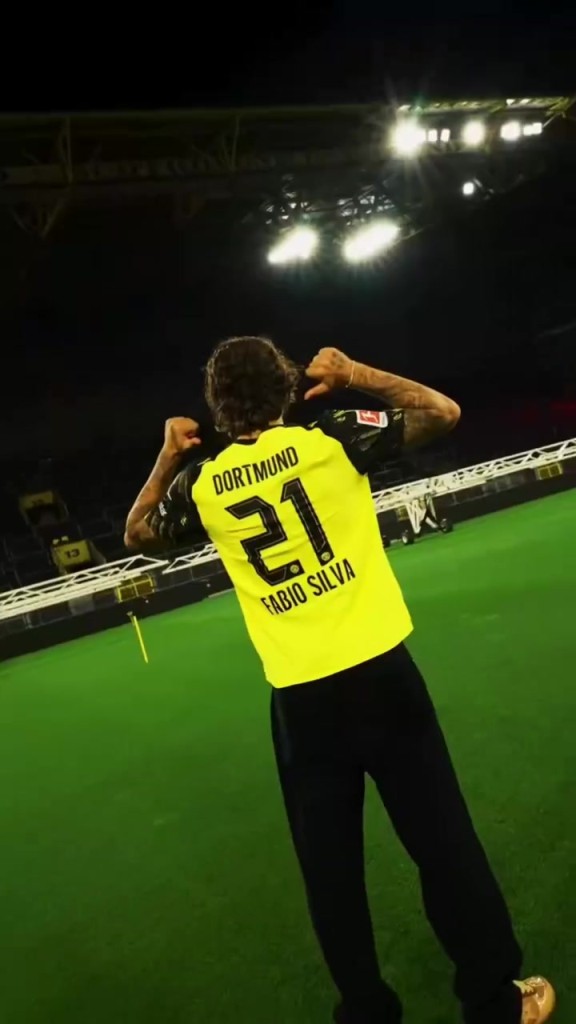 终于有新援了！法比奥席尔瓦正式转会多特蒙德！