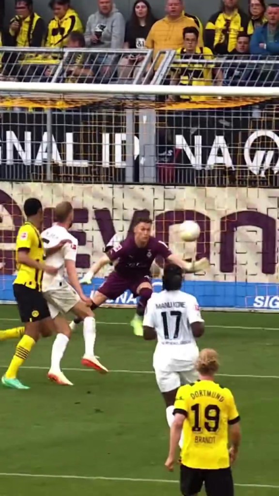 本可以成为多特的英雄！阿莱多特时期混剪！