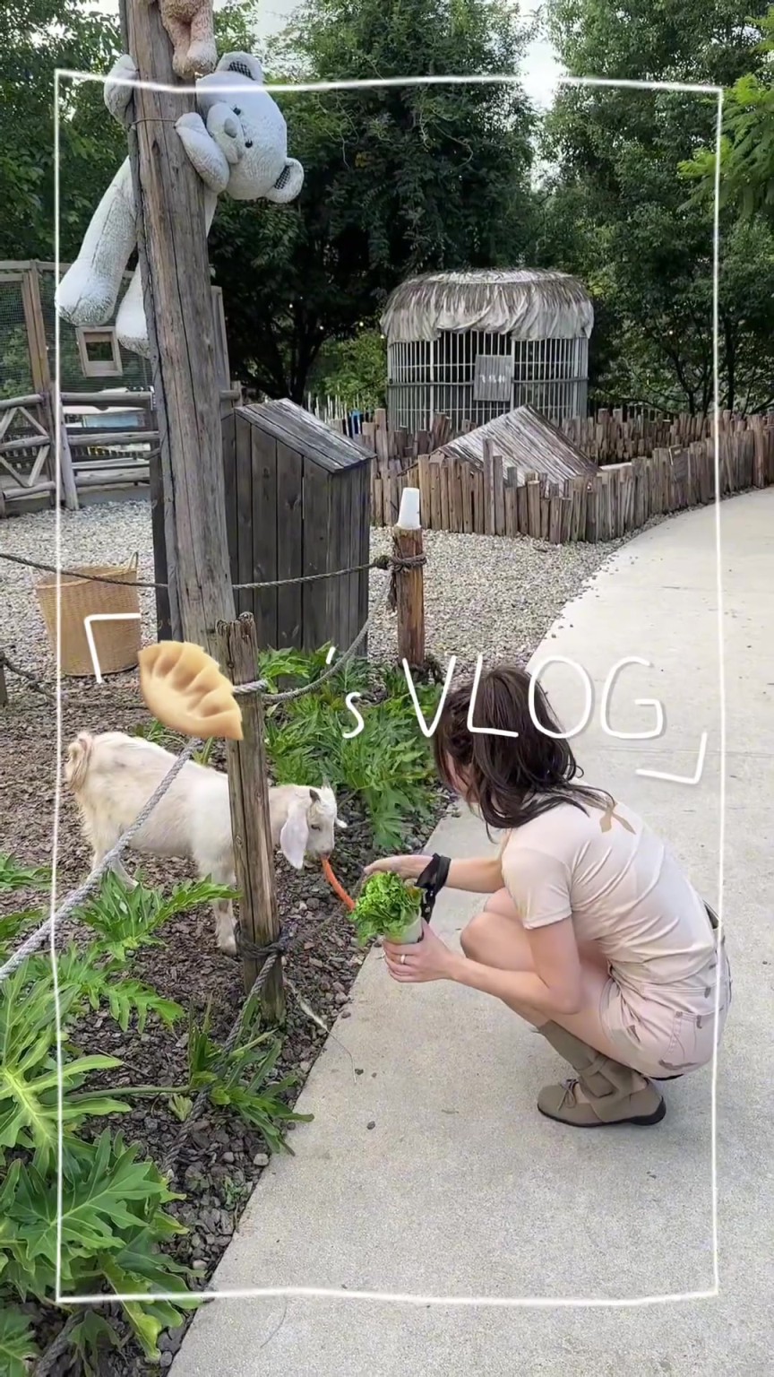 韦世豪老婆的镜头里只出现过一次韦世豪，嫂子还是怕豪哥蹭她流量